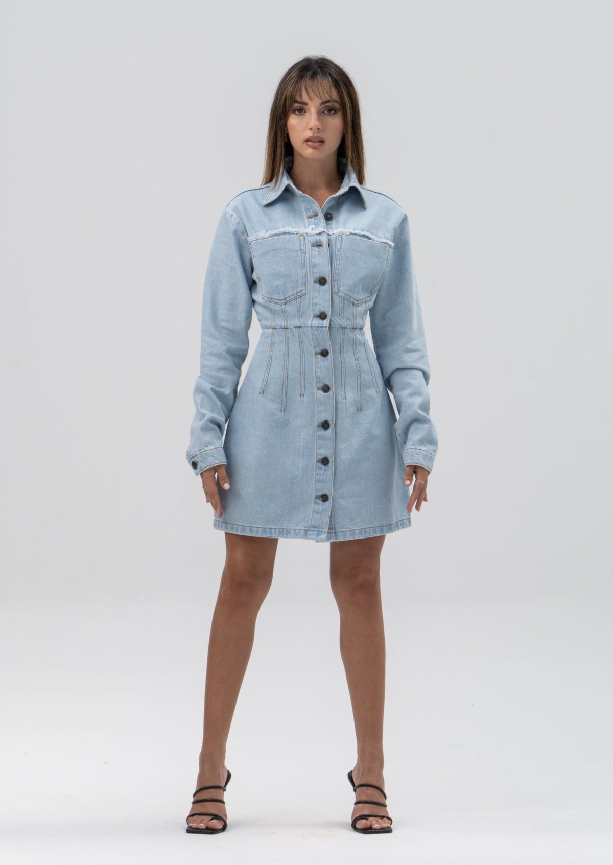 Long Sleeve Denim Dress